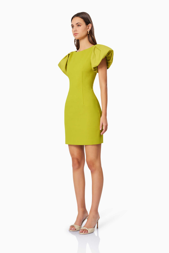 Mini Dress | Elliatt Dress | Boat Neckline